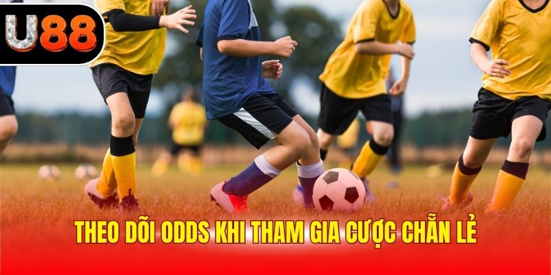 Theo dõi Odds khi tham gia cược chẵn lẻ